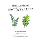 Eukalyptus Shower Steamers - Presentask 6-pack