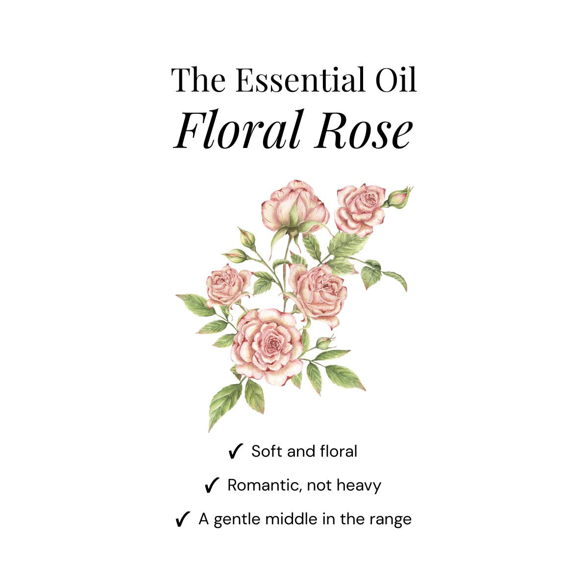 Floral Rose Shower Steamers - Presentask 6-pack